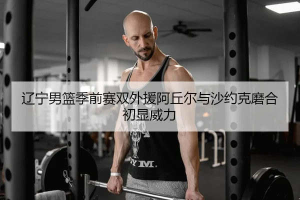 liao-ning-nan-lan-ji-qian-sai-shuang-wai-yuan-a-qiu-er-yu-sha-yue-ke-mo-he-chu-xian-wei-li-2-653.jpg
